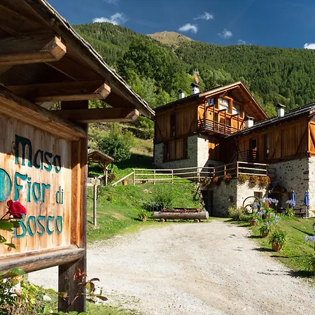 Maso Fior di Bosco - Val di Rabbi - Esercizio Rurale-2
